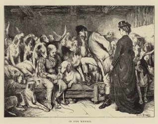 In the Kennel